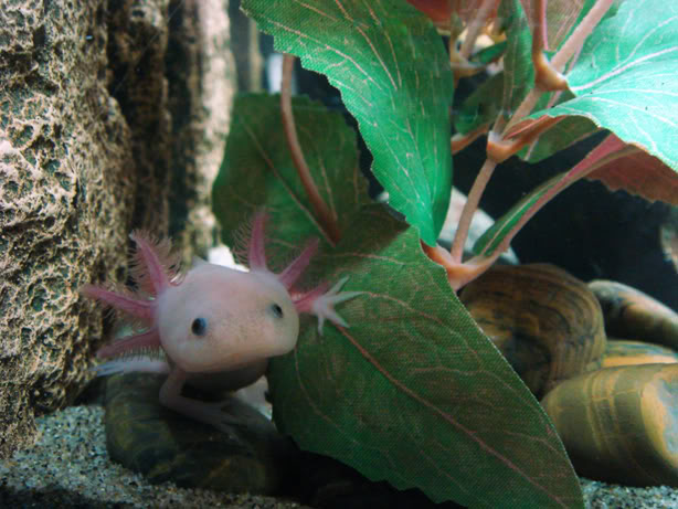 Floyd exploring