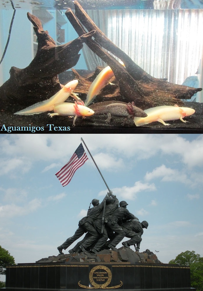 For a second, I wondered why that formation they were in seemed so familiar!