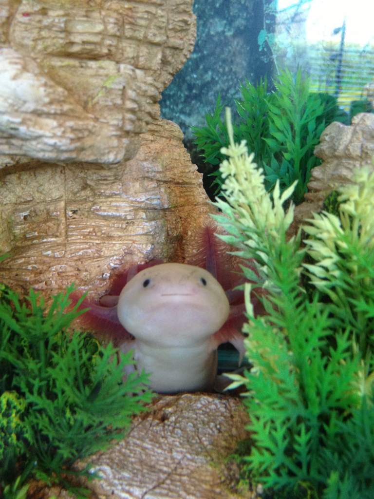 Found me!