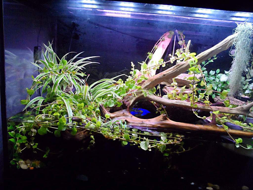 Front view of Sinclair's home