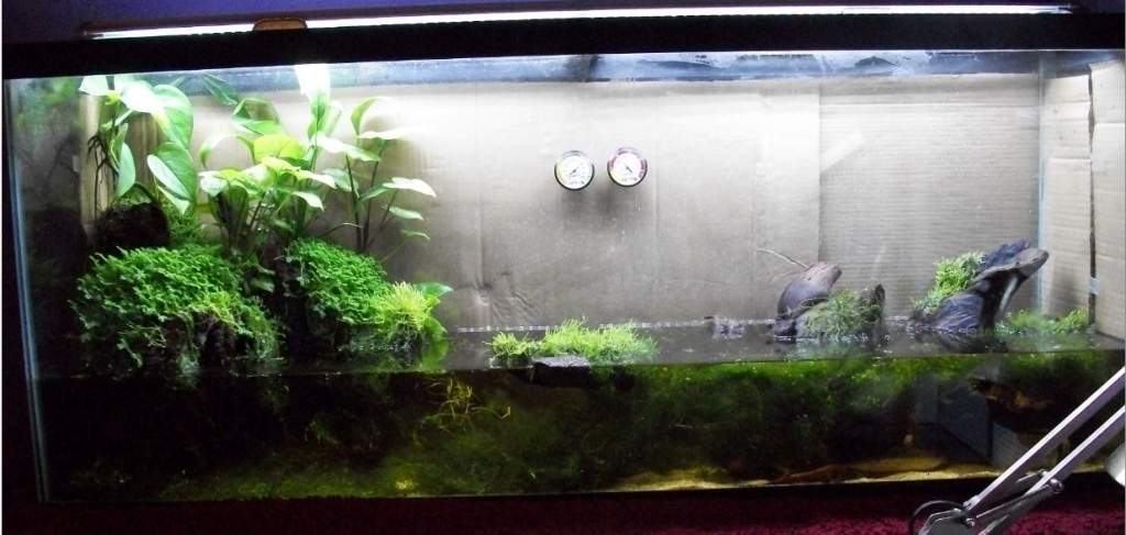 FTS resized