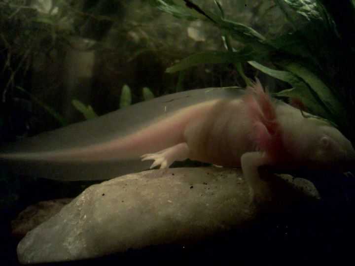 Getn big!