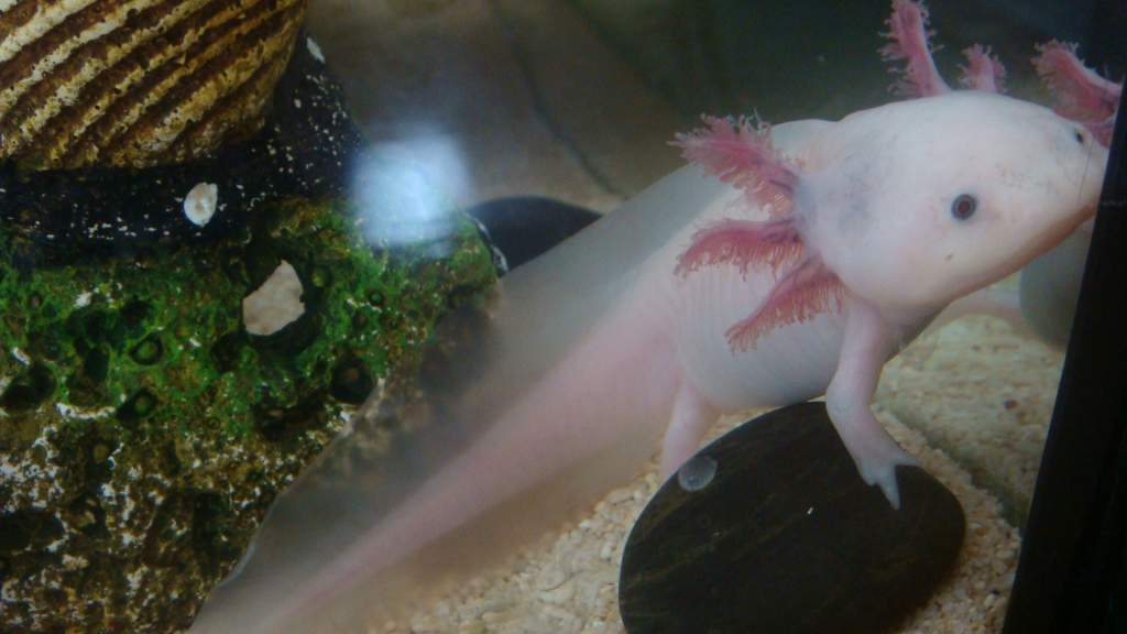 Getting big