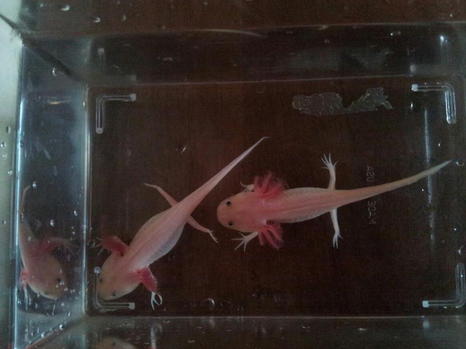 Getting bigger all the time!