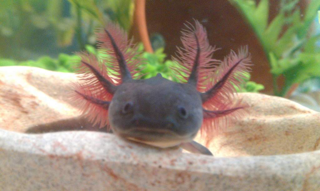 Getting bigger!