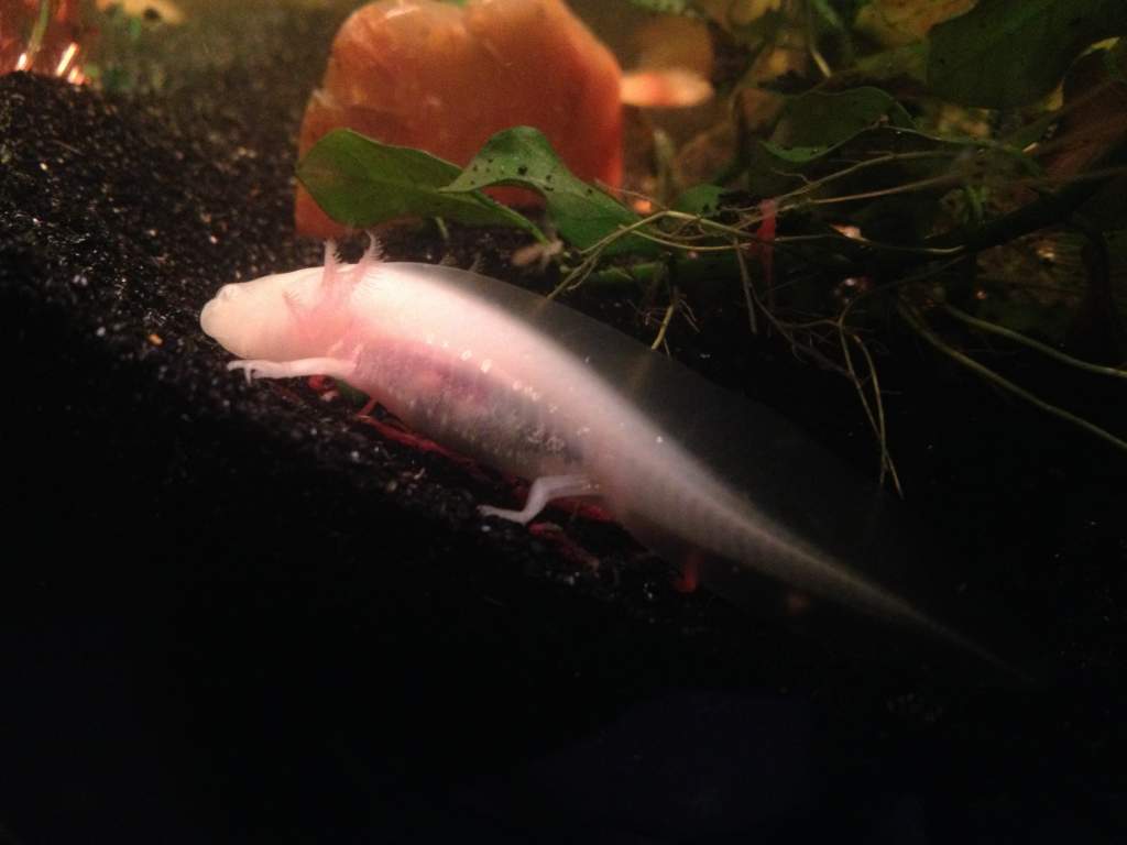 Getting bigger.