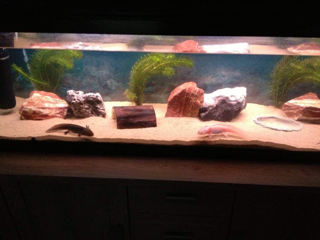 Getting close