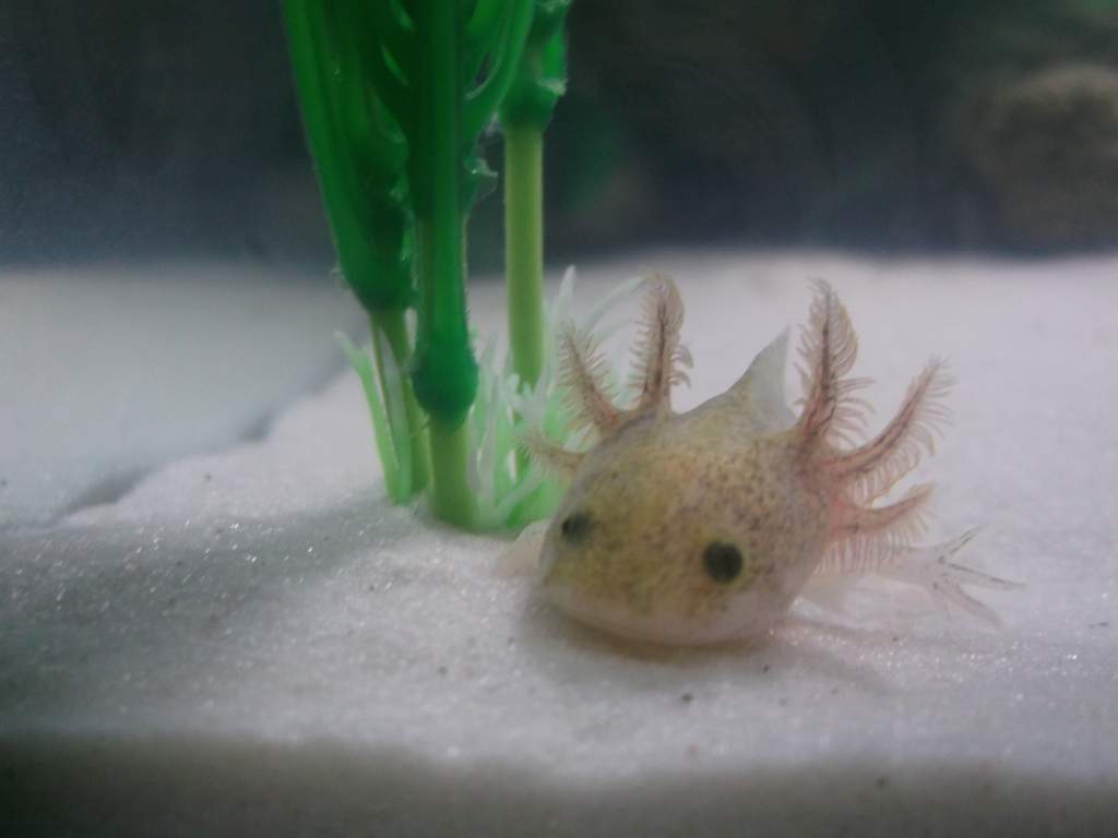 Giving us a wave...