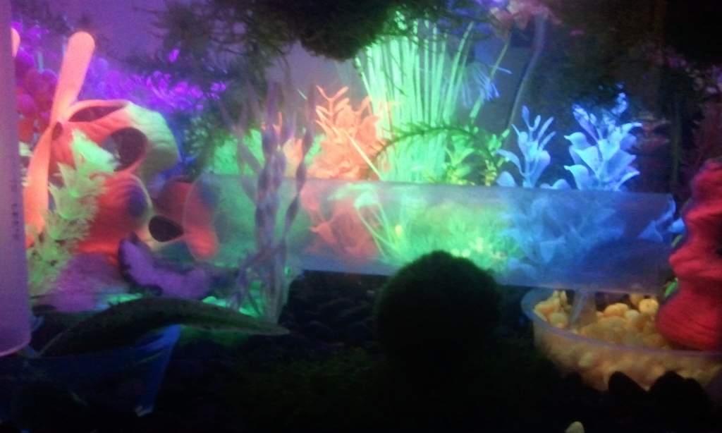 Glowing artificial plants