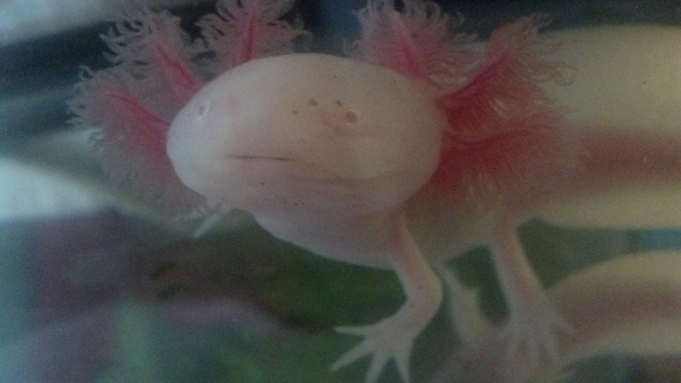 "Got more worm, momma?"