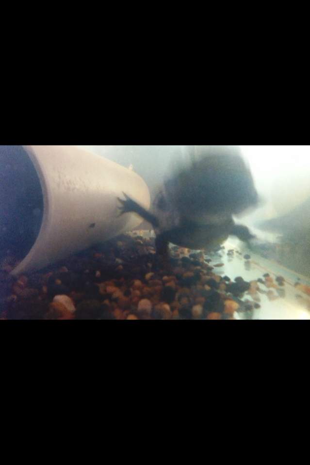 Grab the food