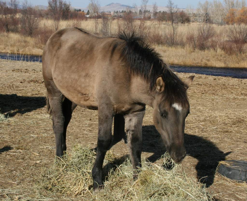 Griz as a baby