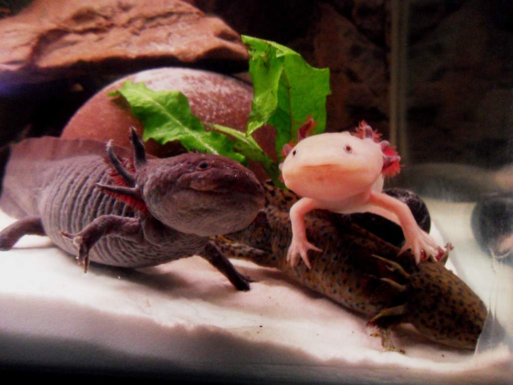 Group shot