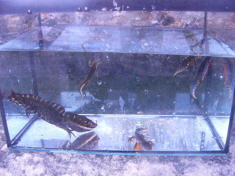 Group shot.