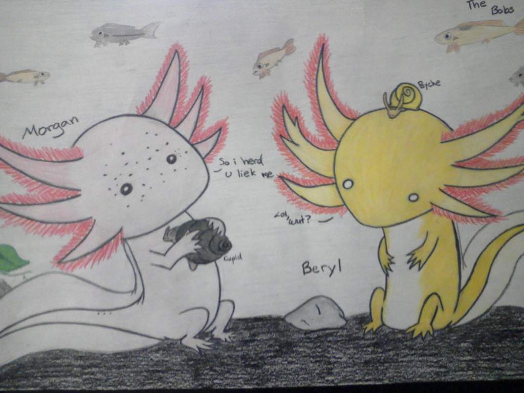 hand drawn/colored tank background picture.