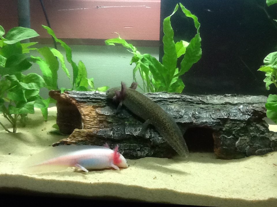 hanging around