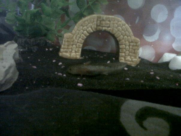 happy in its new home. :)