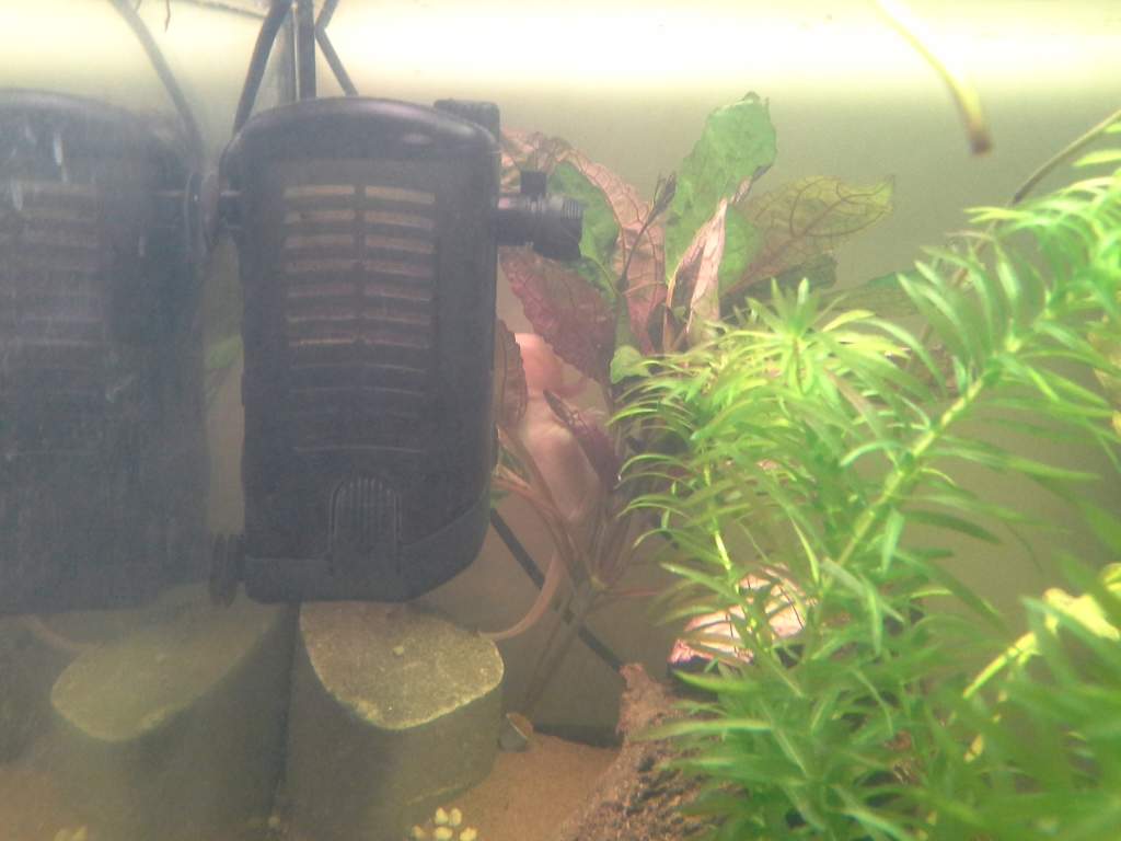 Having a sit down in the plant, like you do  x
