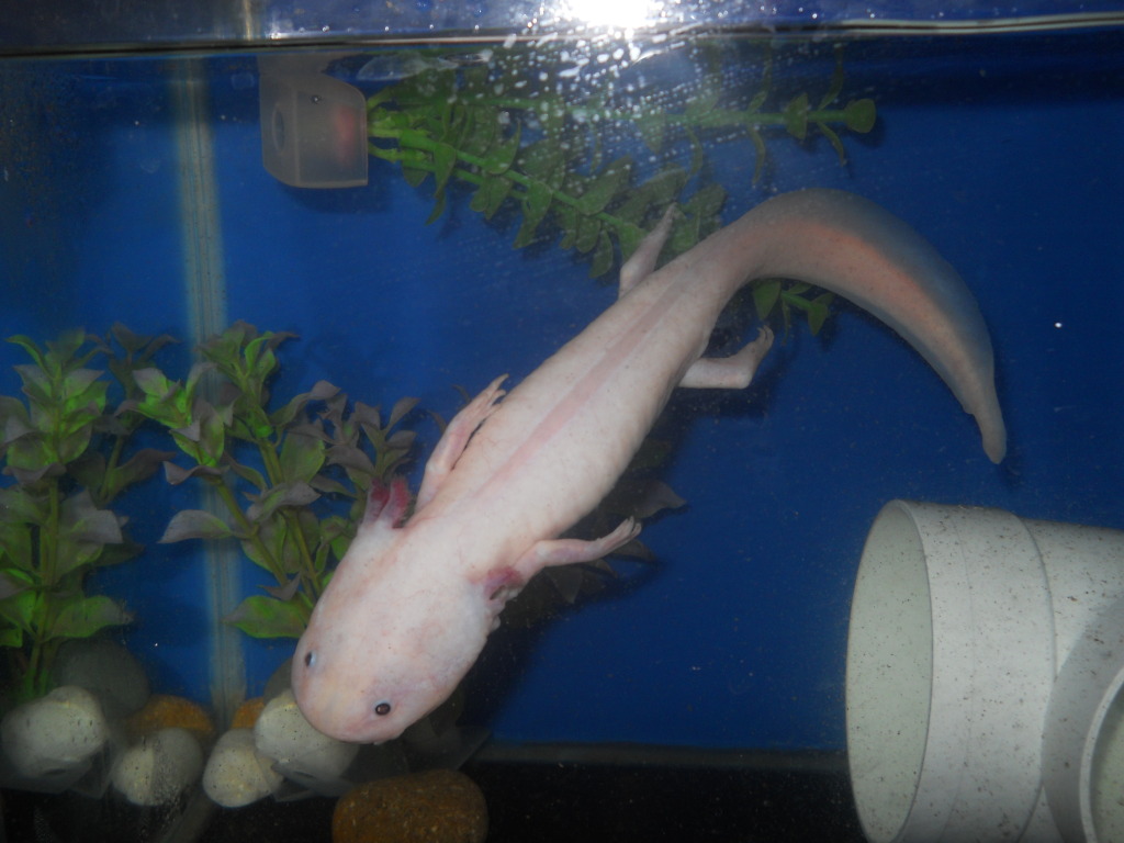 Having of a little swim. :)