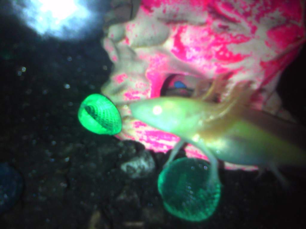 He has been stressed lately, he is now in Axolotl Sanctuary and the gravel in his tank has been removed.