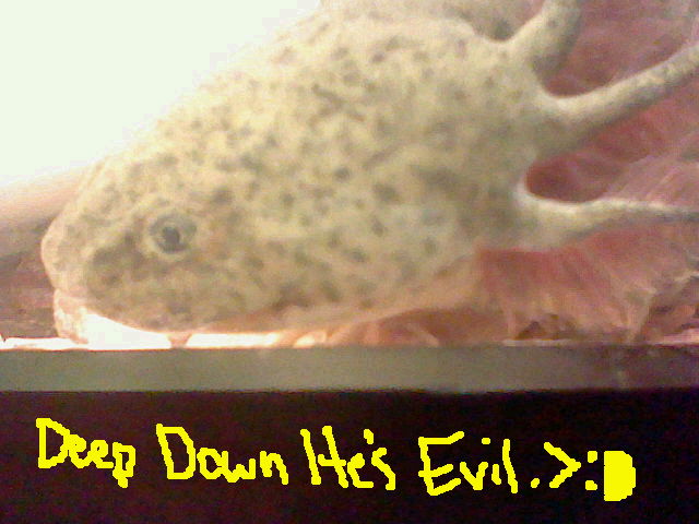 He is... He really is..