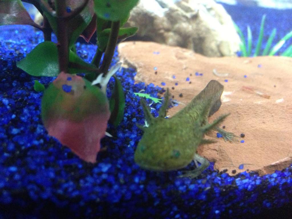 He likes his corner.