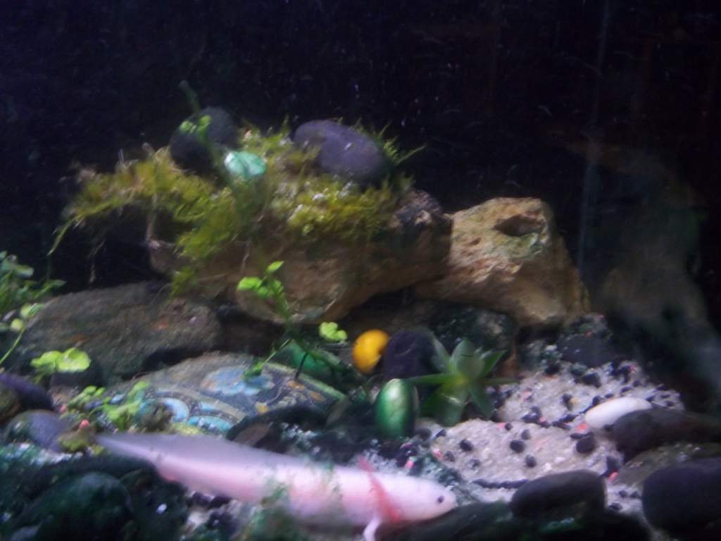 he loves digging up his plants