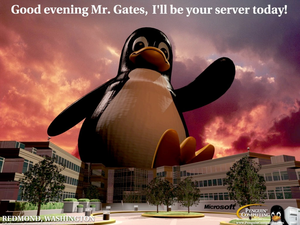 hehe do you think microsoft is running windows server at microsoft corp wel your wrong