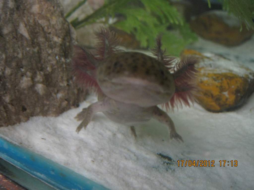 Hello :D