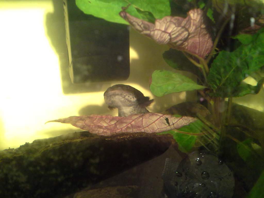 Hello gorgeous girl :)