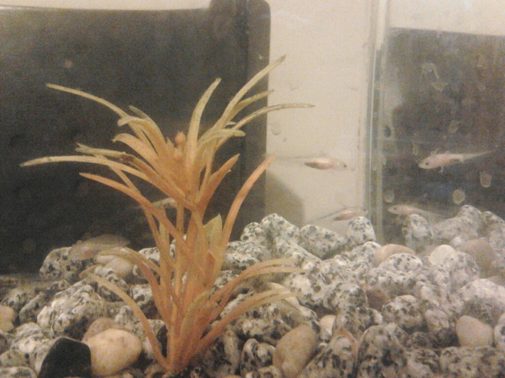 Hello there, well arent you ever so handsome .... oh wait - thats my reflection!