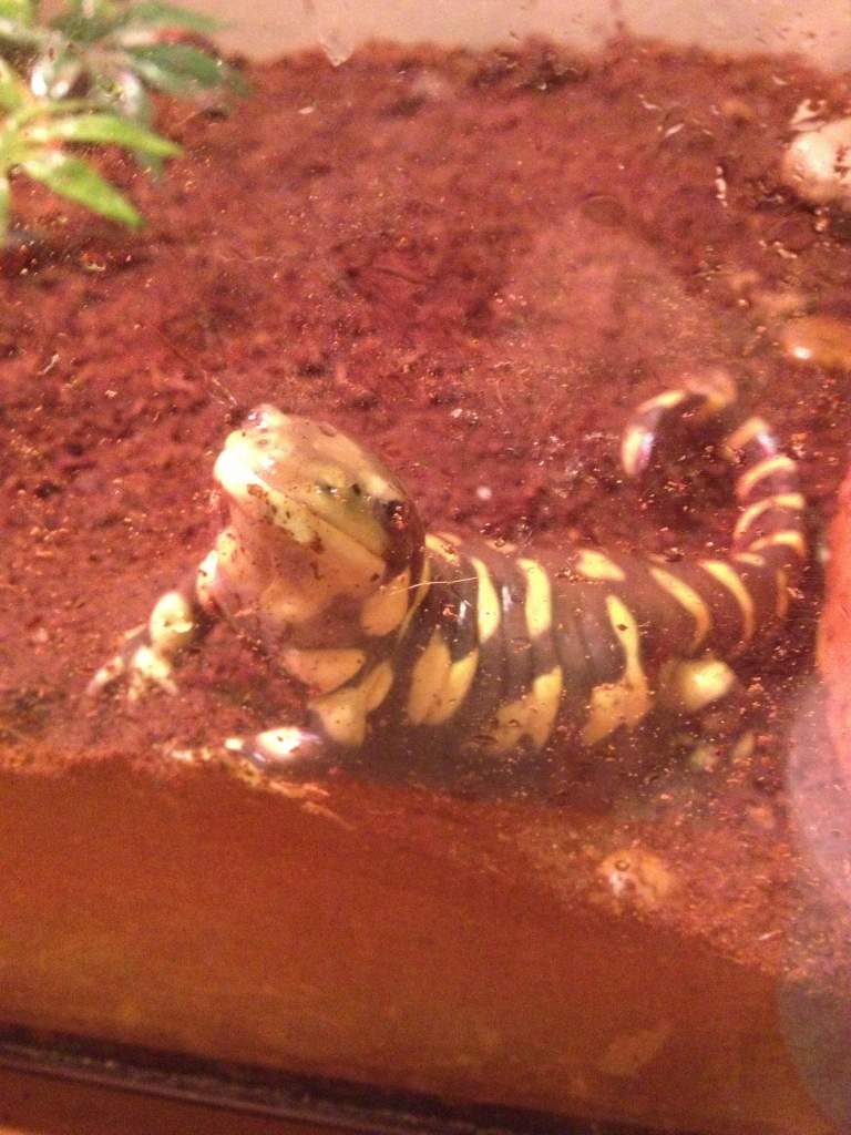 Hello!