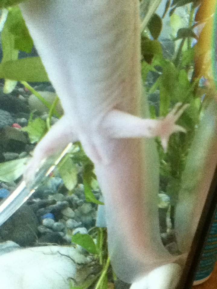 Help!? male or female???