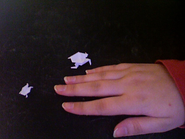 Here are the frogs beside my hand so you can see how small they are