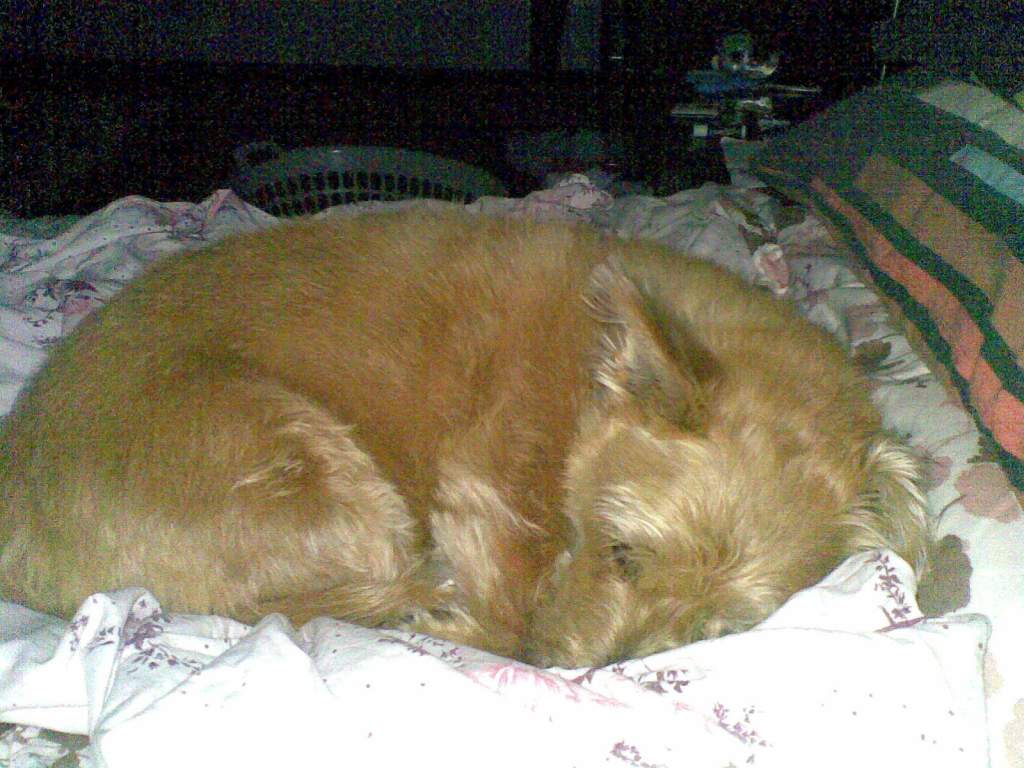 Here is my non swimming baby, Jezy