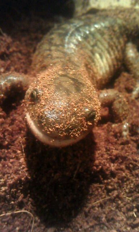 He's gotten soooo big!
