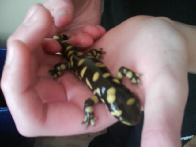Hes quite small (but getting bigger)