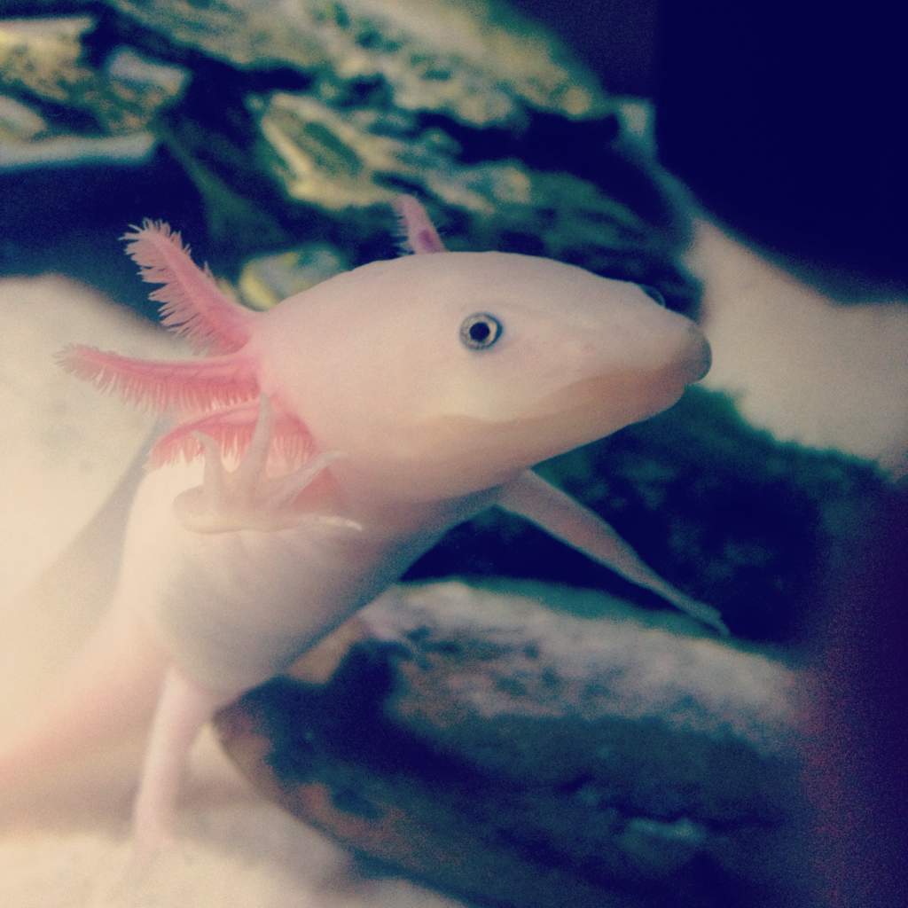 he's running from the paparazzi lmao