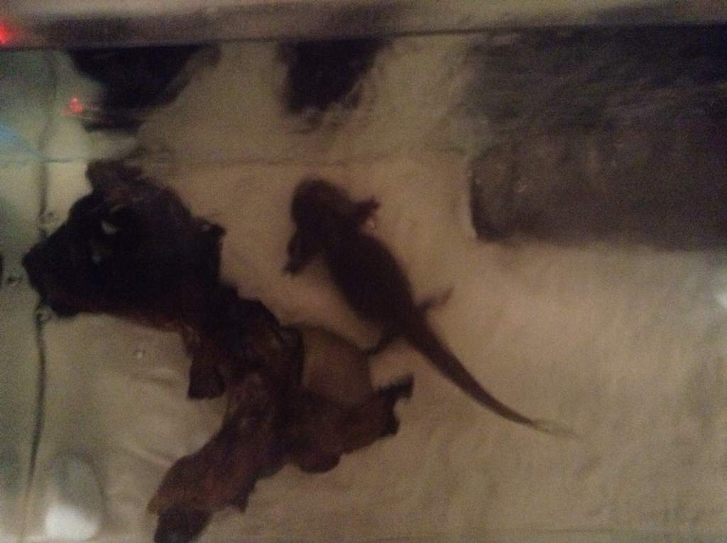 Hey look its a reflection of ME!!!!