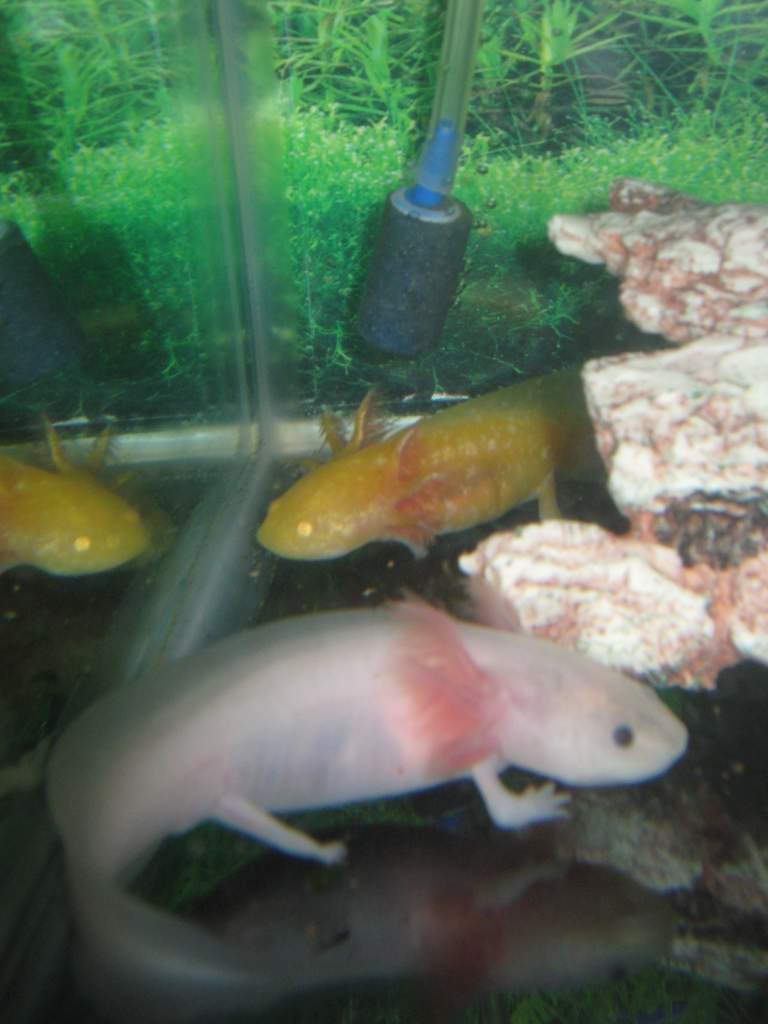 hi scaler and sunny!
