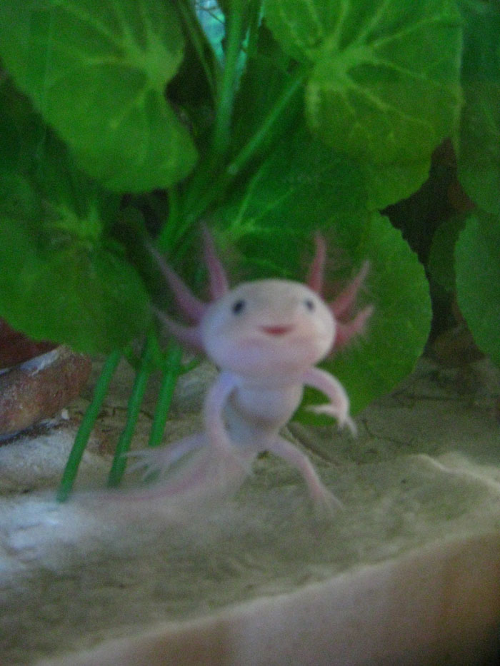Hi!
