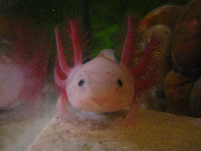 Hi!