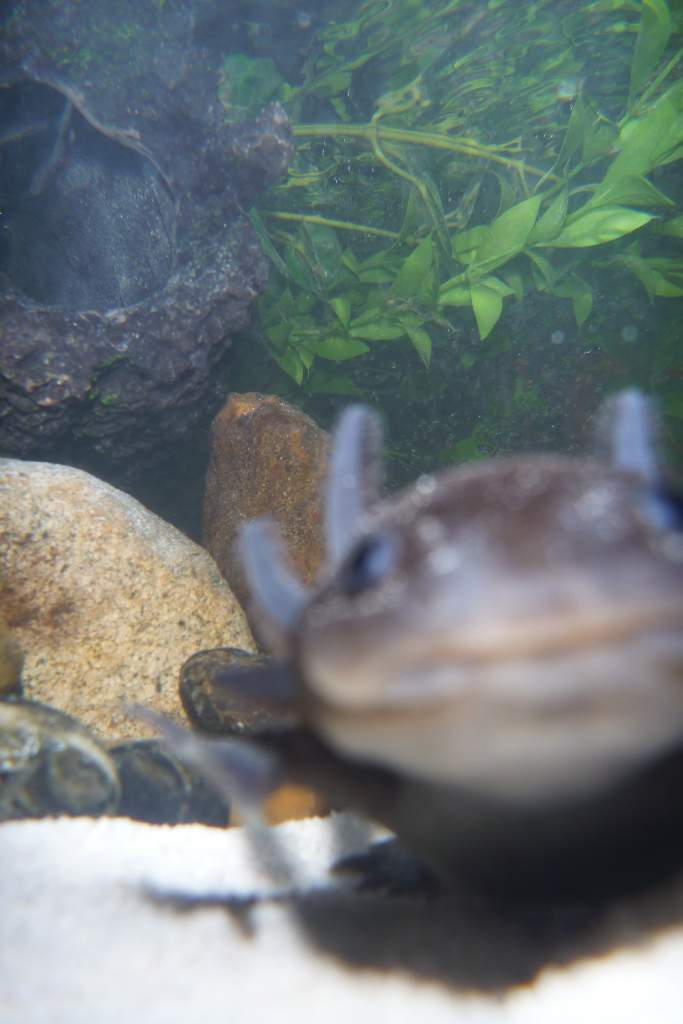 HI!