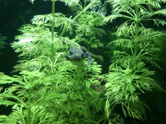 hide n seek!