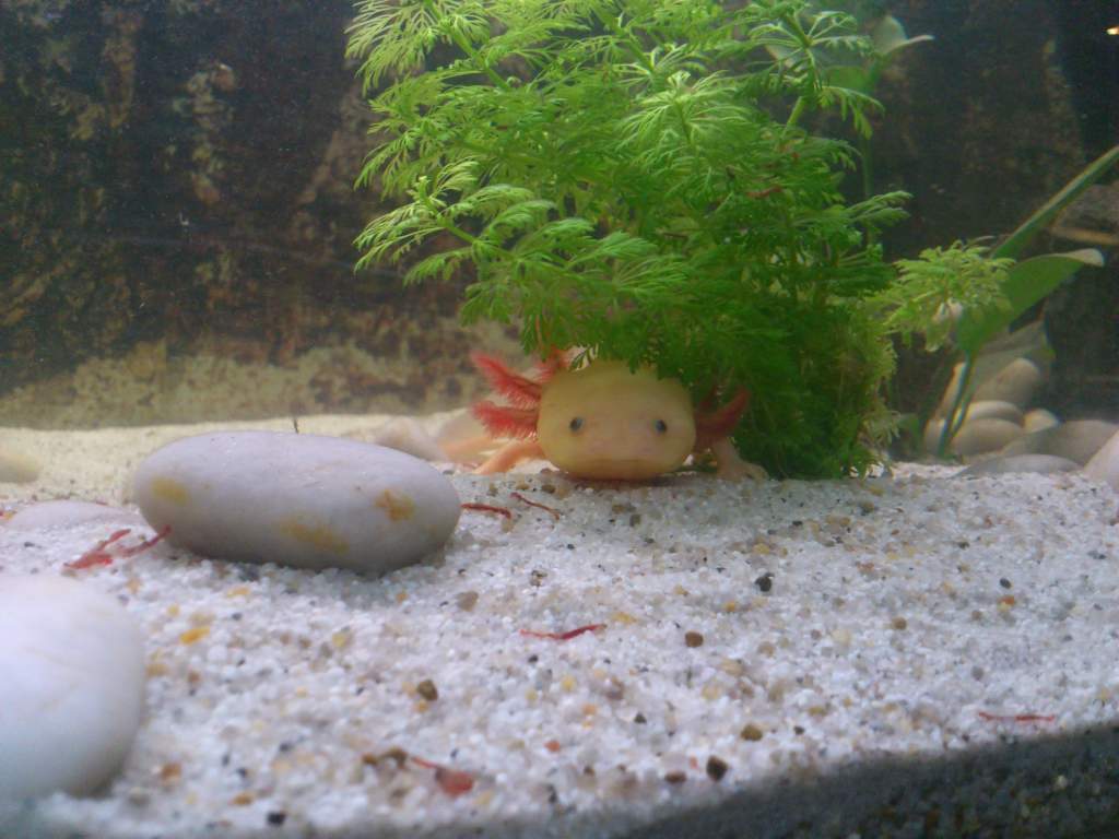 Hide & seek