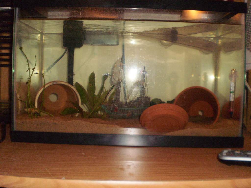 his home!