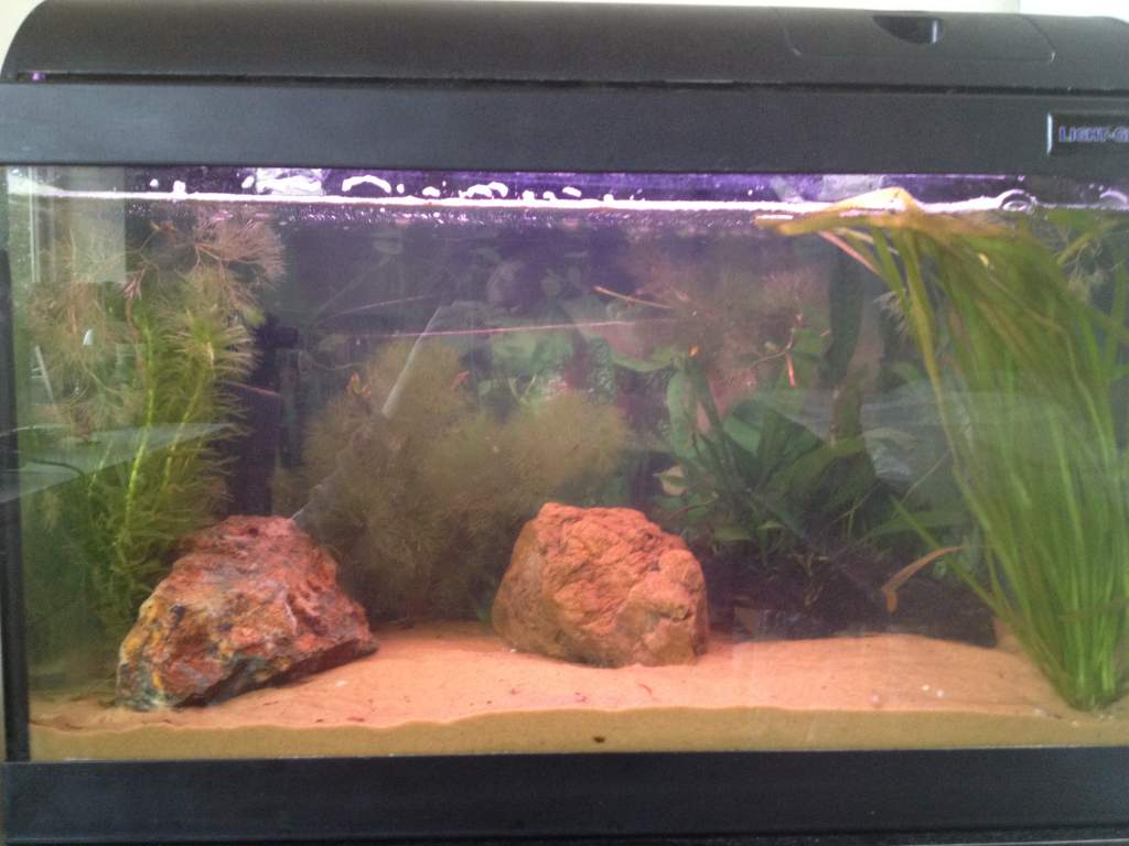 his tank :)