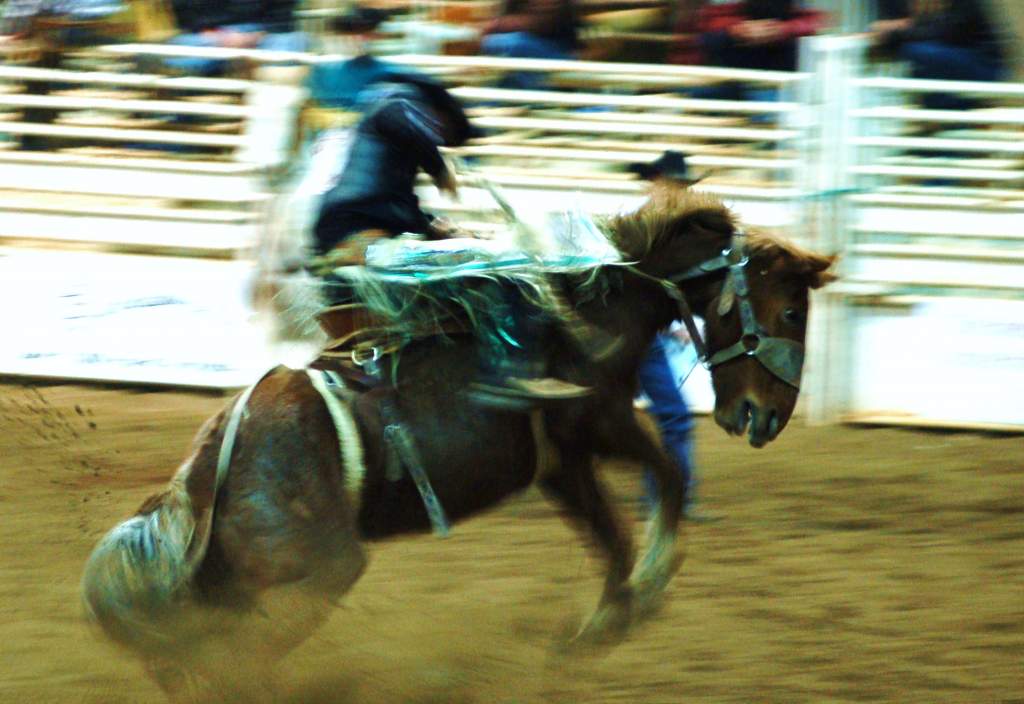 Hold on tight, cowboy.