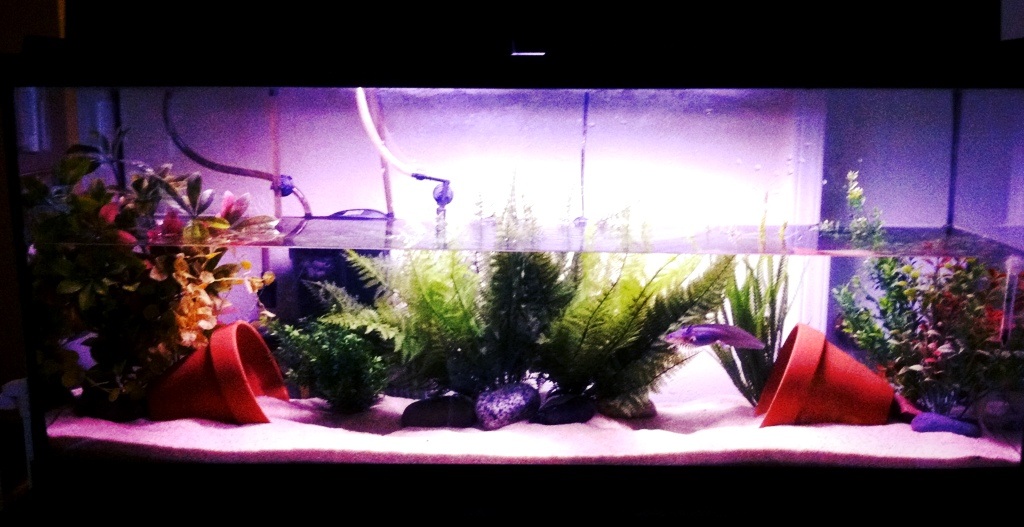 Home!
July 29th 2013