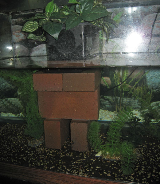 homemade filter1 - front view
